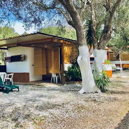 Hébergement de vacances Blu Med