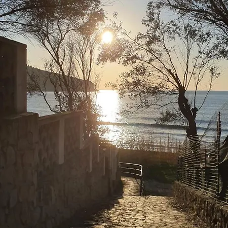 Blu Med * 팔리누로