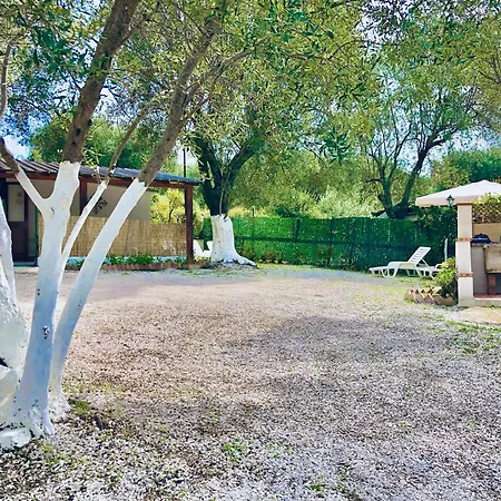 Blu Med * 팔리누로