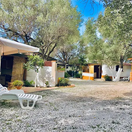 Blu Med * 팔리누로