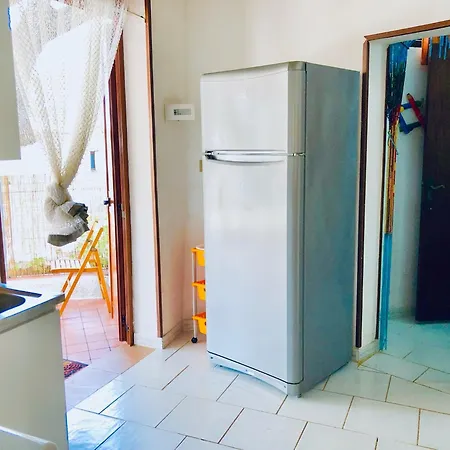 Blu Med 팔리누로