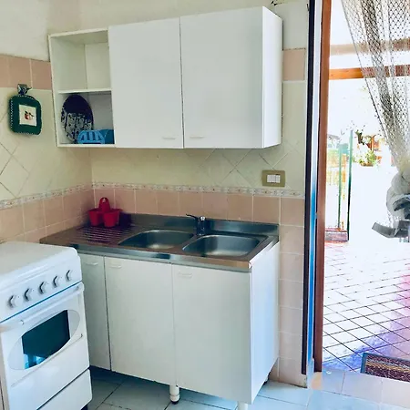 Blu Med * 팔리누로