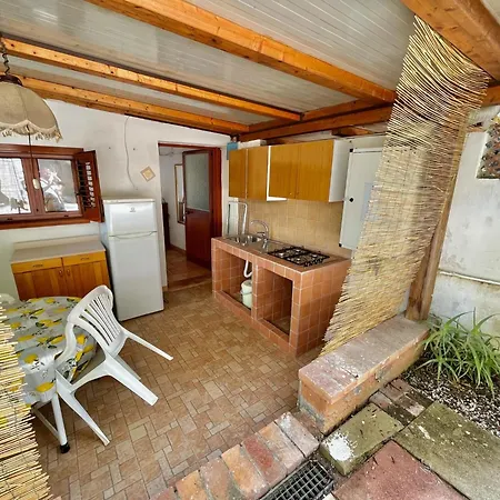 Blu Med 팔리누로