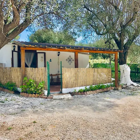 Blu Med 팔리누로