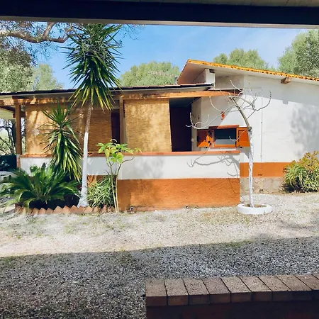 Blu Med 팔리누로